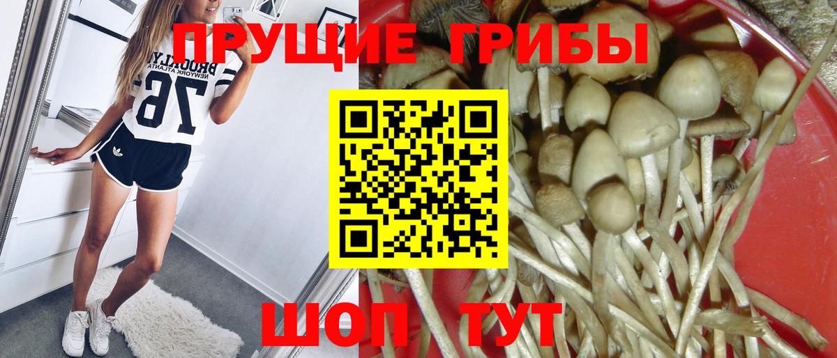 Галлюциногенные грибы Psilocybine cubensis Топки