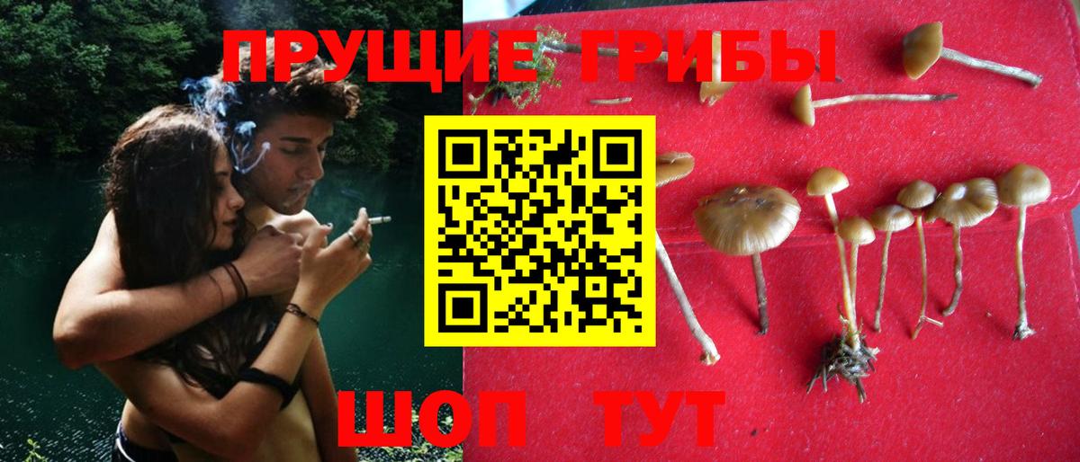 Псилоцибиновые грибы прущие грибы  Вход с VPN  купить наркоту  Псилоцибиновые грибы мицелий  Топки 